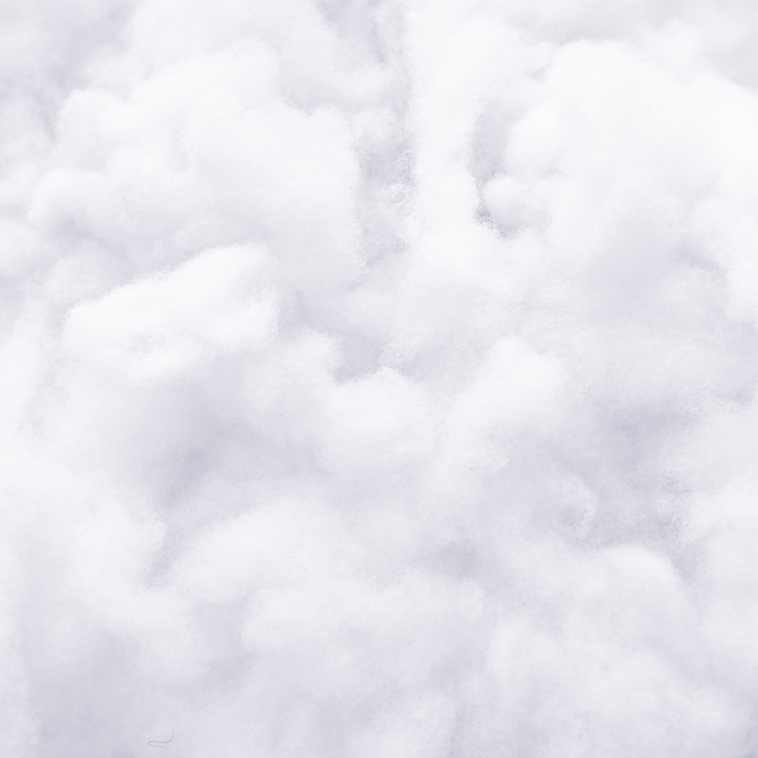 Closes up of fluffy cotton